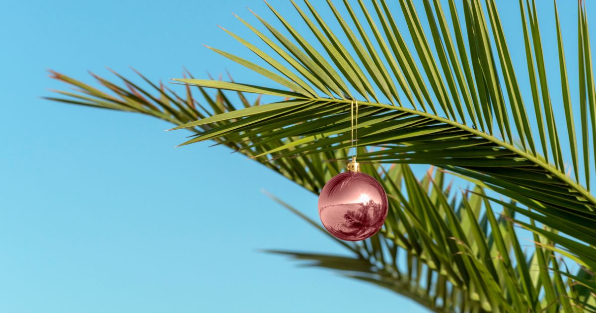 How Our Residents Celebrate the Holidays in the Florida Sun